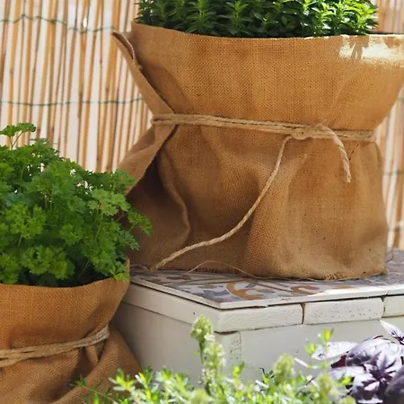 ホテル Letizia 3*